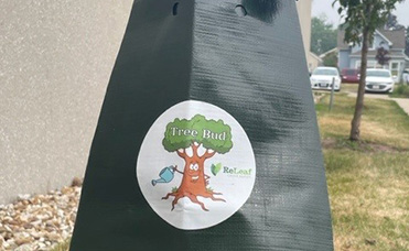 Tree with a bag with a Tree Bud sticker